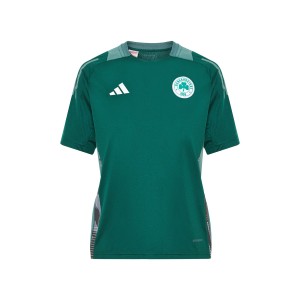 ΠΑΝΑΘΗΝΑΙΚΟΣ Παιδικό T-Shirt Προπόνησης 2024-25